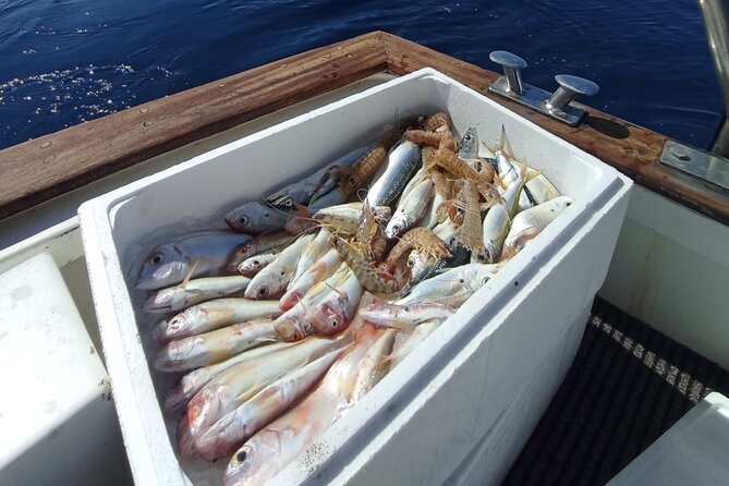 Corfu Private Fishing Cruises - Physical Requirements and Accessibility