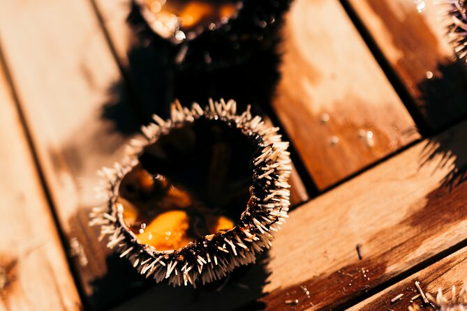 Corfu Private Fishing Cruises - Value for Money and Booking Considerations