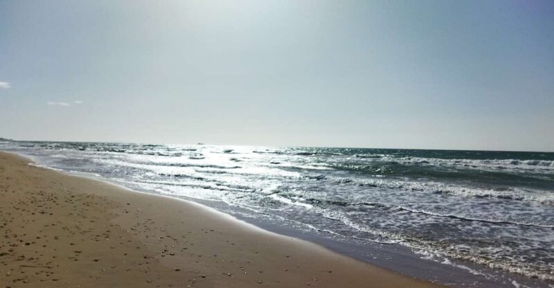 Corfu: Private Full-Day Northern Beaches Tour - Practical Details and What’s Included