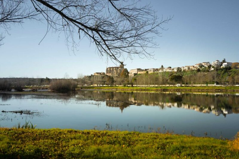 Coria: Cathedral of Coria Ticket Entrance - The Main Altarpieces and Religious Art