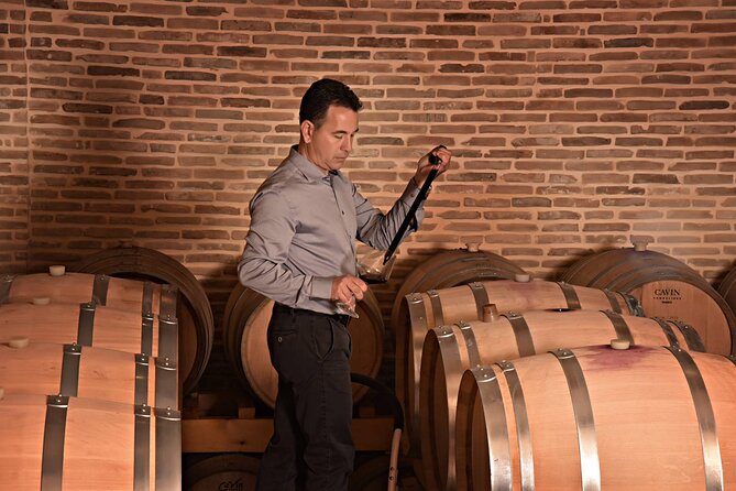 Corinth Winery Tour and Organic Fine Wine Tastings - Authentic Greek Wine Experience at a Family-Owned Organic Winery