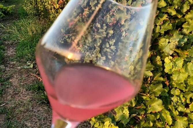 Corinth Winery Tour and Organic Fine Wine Tastings - The Guide’s Knowledge and Approach