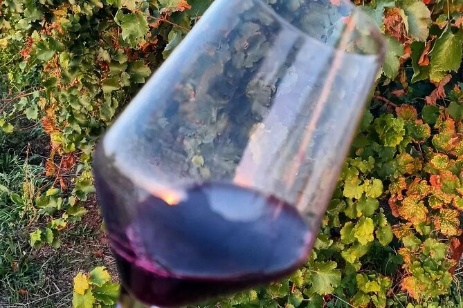 Corinth Winery Tour and Organic Fine Wine Tastings - Supporting Local Business and Authenticity