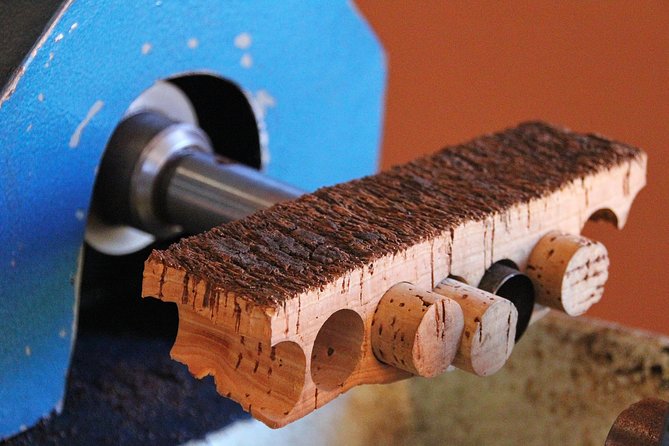 Cork Factory Tour & Cork Shop - Engage with Portugal’s Cork Industry in Faro for Just $19.16