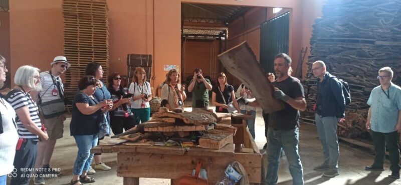 Cork Factory Tour - Discovering Innovative Cork Uses in the Cork Shop