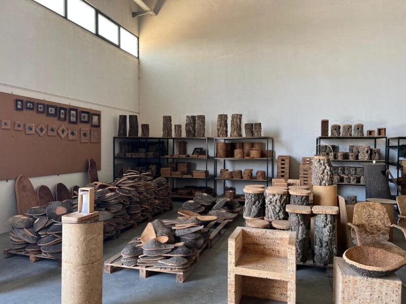 Cork Factory, Wine Tasting & Évora Visit - Key Points