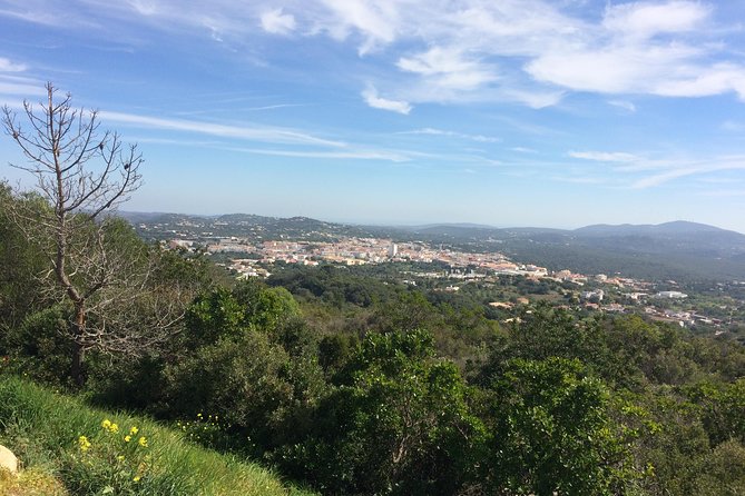 Cork Secrets - Explore a Unique Side of the Algarve with Cork Secrets