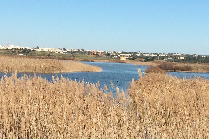 Cork Secrets - Key Points