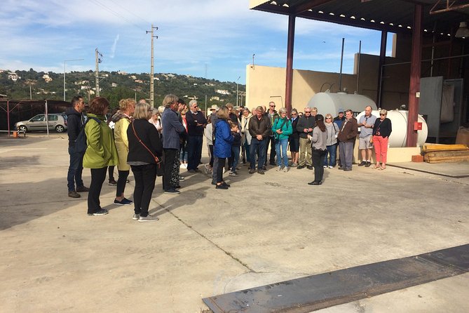 Cork Secrets - The Guided Tour of Sao Bras de Alportels Cork Factory