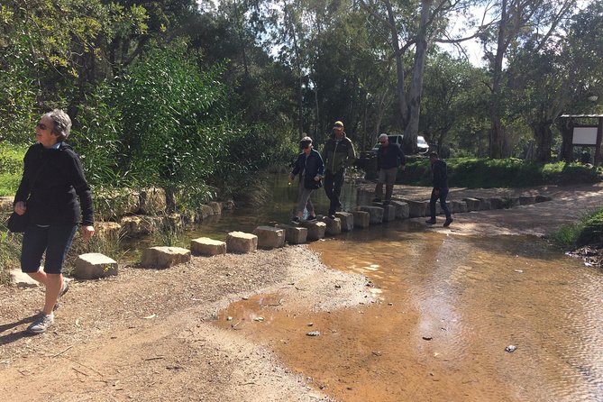 Cork Secrets - Discover the Cultural Heritage at Museu do Traje
