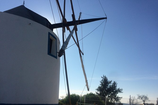 Cork Secrets - Comfortable Transportation with a Local Touch