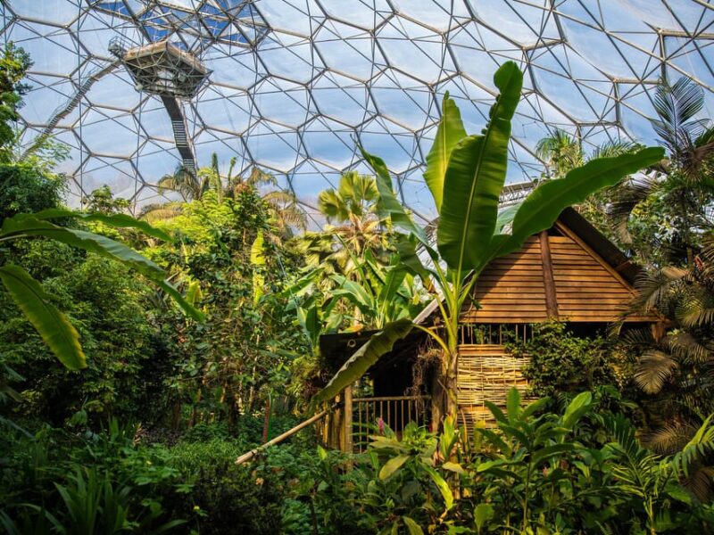 Cornwall: Eden Project Entry Ticket - Practical Tips for Visiting the Eden Project