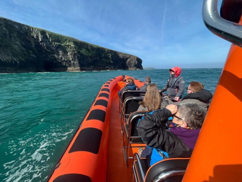 Cornwall: Guided Seal Safari by Boat - The Thrilling Ride on a Rigid Inflatable Boat (RIB)