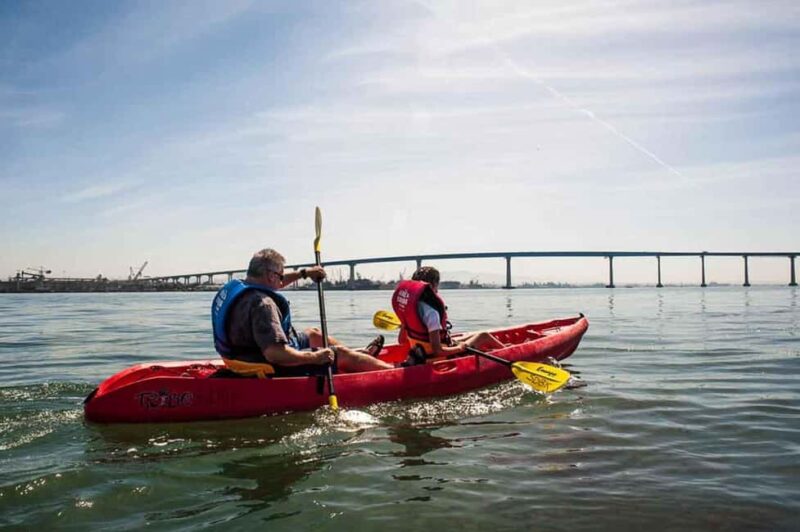 Coronado Guided Kayak Tour 90-Min - The Experience Provider and Customer Satisfaction
