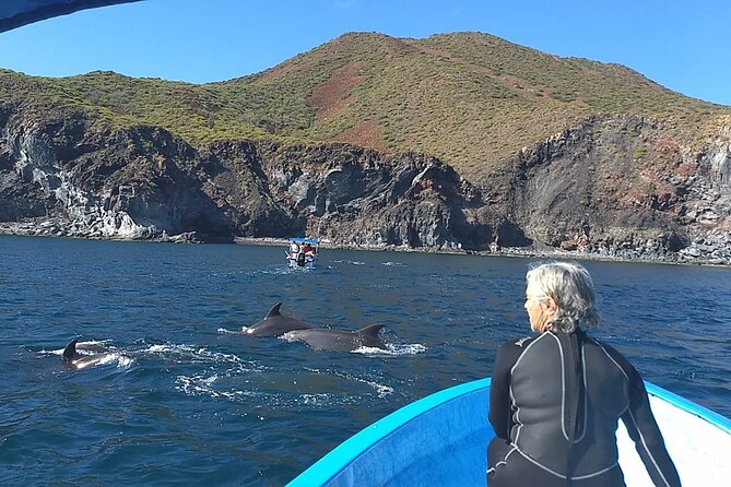 Coronado Island Adventure, snorkeling & picnic on the beach - Beach Picnic on Immaculate White Sand Beaches