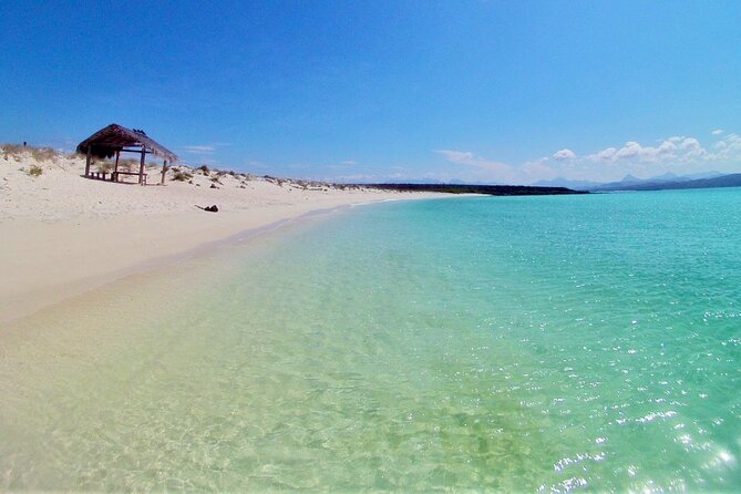 Coronado Island and Snorkel Tour - Key Points