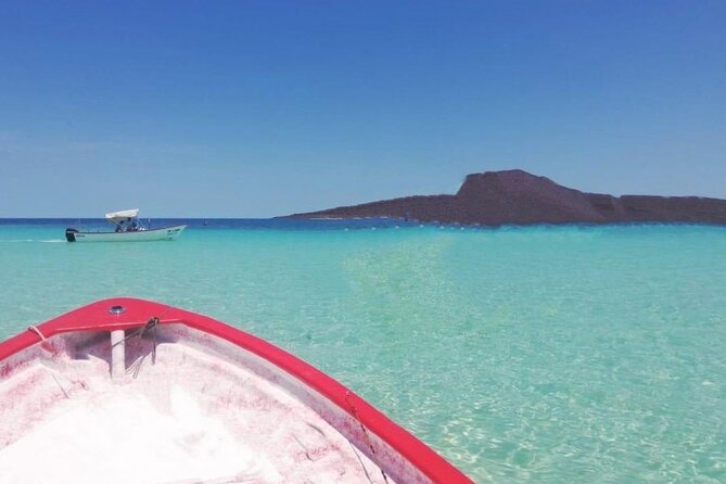 Coronado Island and Snorkel Tour - Encounters with Dolphins, Whales, and Sea Lions