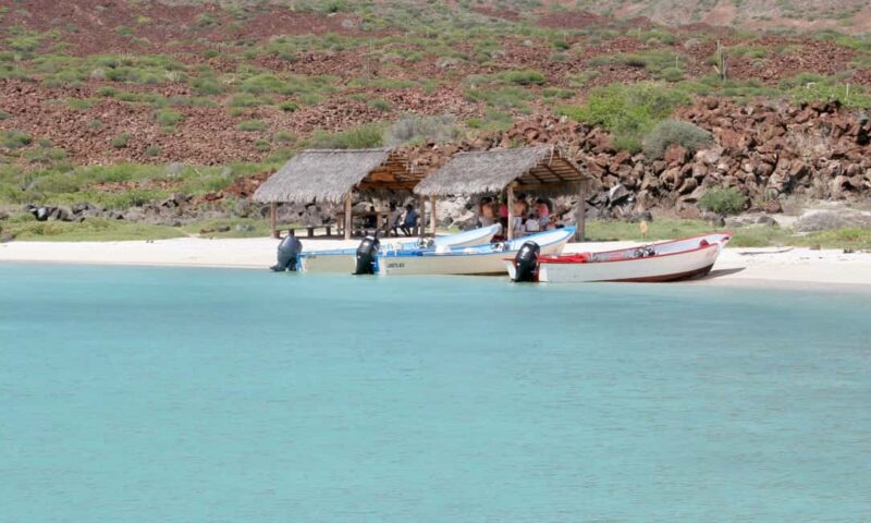 Coronado Island and Snorkel Tour - Coronado Island and Snorkel Tour in Baja California Sur: An Inviting Marine Escape