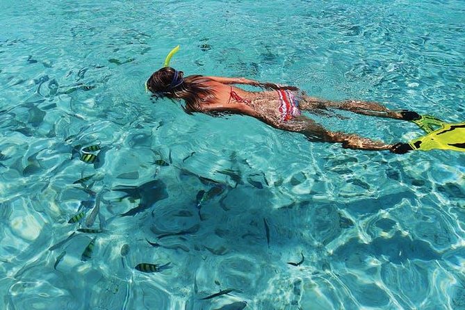 Coronado Island Tour from Loreto - Key Points