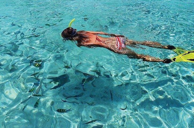 Coronado Island Tour from Loreto - What’s Included in the Tour