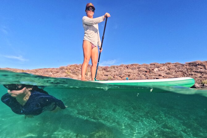 Coronado Island Visit and Sea Lions Swimming - Relaxing on the White Sand Beaches