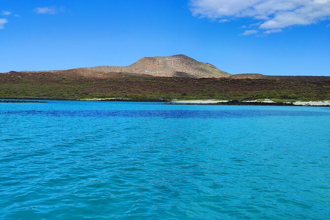 Coronado Island Visit and Sea Lions Swimming - Meals, Drinks, and Equipment Included