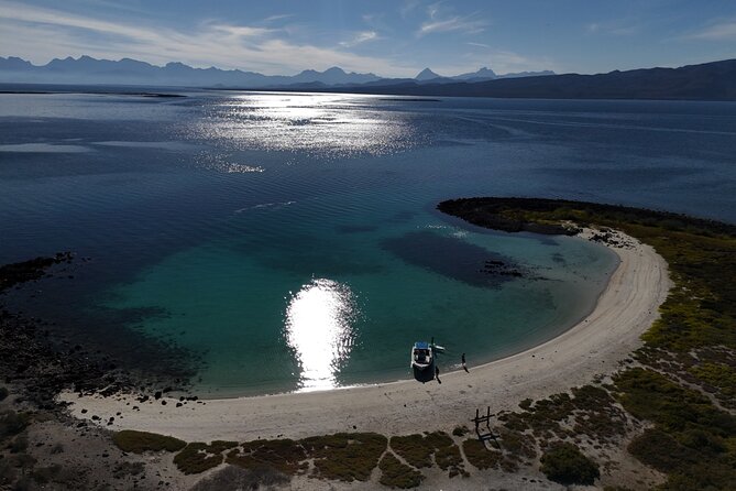 Coronado Island Visit and Sea Lions Swimming - Safety, Weather, and Cancellations