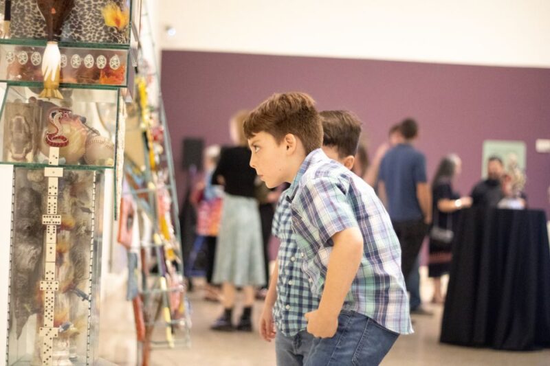 Corpus Christi: The Art Museum of South Texas Entry Ticket - Visitor Feedback and Highlights