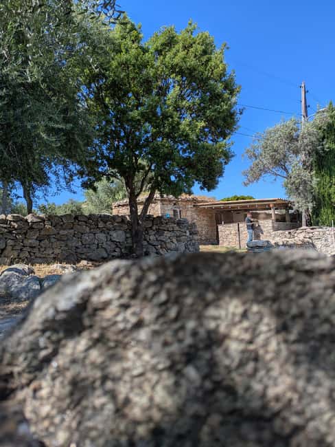 Corsica: Organic wine tasting - Corsica’s Organic Wine Estate in a Reconstructed Sheepfold