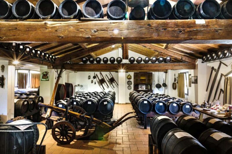 Corte Ansaloni Vinegar Cellar: Guided Tour and Tasting - Tasting Experience: Pure Balsamic by the Spoonful
