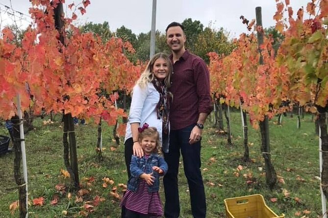 Cortecorbo Irpinia-wines: tour of the vineyards- Cooking class- wine tasting - Tasting Six Wines Paired with a Countryside Lunch