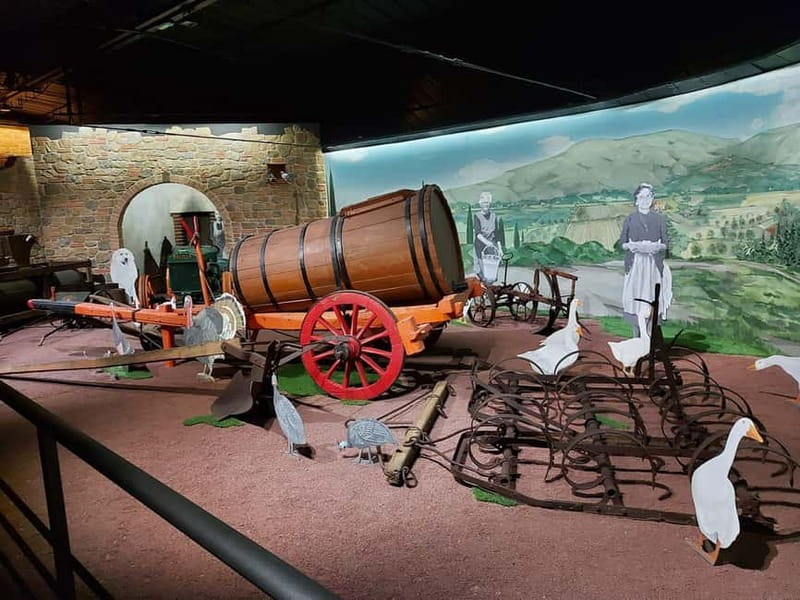 Cortona: Journey Through Time - Navigating the Guided Visit with Local Experts