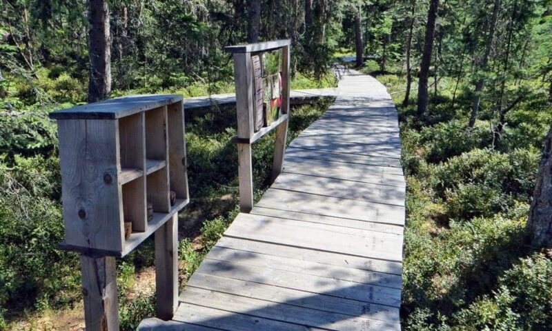 Corund, HR: Backcountry Gastro Tour with Lunch and Dinner - Corund, HR: Backcountry Gastro Tour with Lunch and Dinner – A Deep Dive into Transylvania’s Flavors