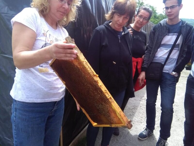 Corund, HR: Backcountry Gastro Tour with Lunch and Dinner - Practical Details: Logistics, Group Size, and What to Prepare