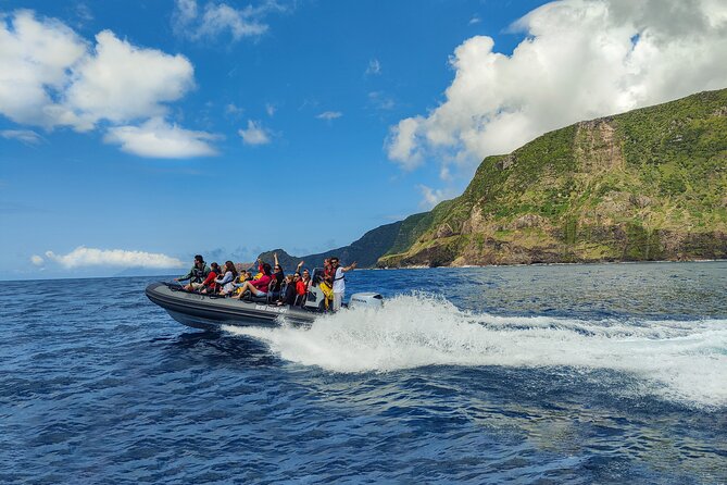 Corvo Boat Trip - Wildlife Encounters and Water Safety