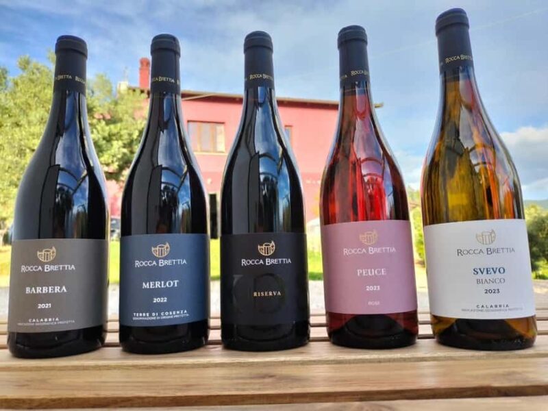 Cosenza: Vineyard Tour with Wine Tasting - Discover Calabria’s Flavors on a Guided Vineyard Tour in Cosenza