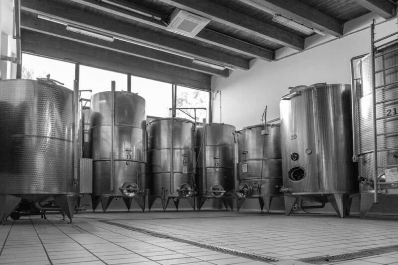 Cosenza: Vineyard Tour with Wine Tasting - Key Points