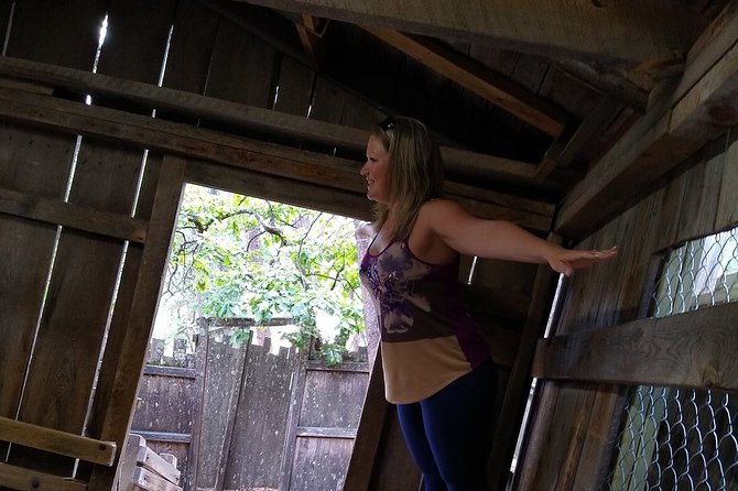 Cosmos Mystery Area Admission - The Guided, Interactive 30-Minute Tour