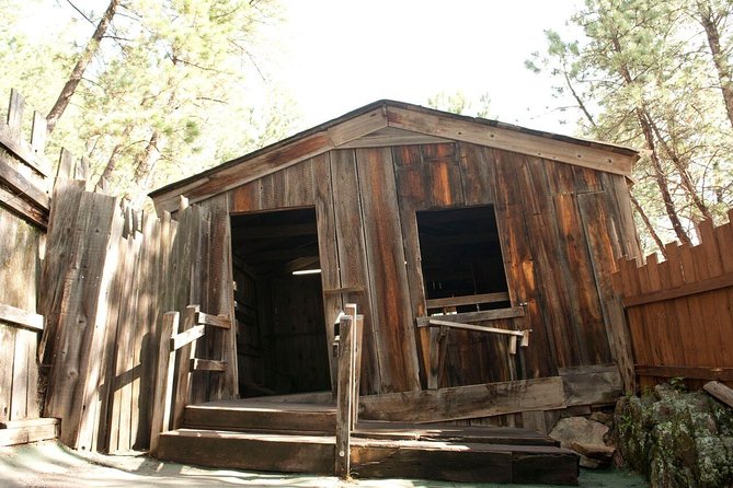 Cosmos Mystery Area Admission - What Makes the Experience Family-Friendly