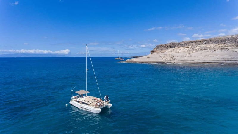 Costa Adeje: Catamaran Tour, Snorkelling, Snacks & Drinks - Crew and Guide Expertise