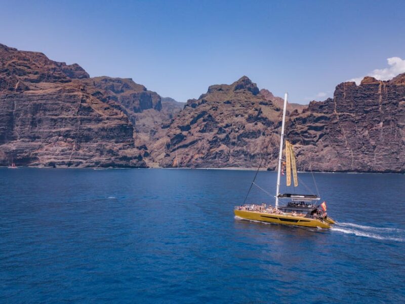 Costa Adeje: Masca and Los Gigantes Whale Watching Cruise - Marine Wildlife: What You Might See