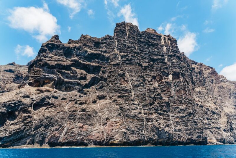 Costa Adeje: Masca and Los Gigantes Whale Watching Cruise - Comfort and Quality of Service Onboard