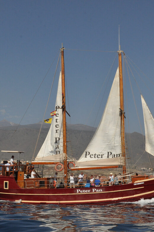 Costa Adeje: Respectful Whale Watching on Wooden Boat & Swim - What Makes This Tour Stand Out From Others