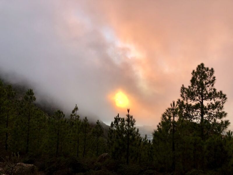 Costa Adeje: Tandem Paragliding Flight with Free Pickup - Key Points