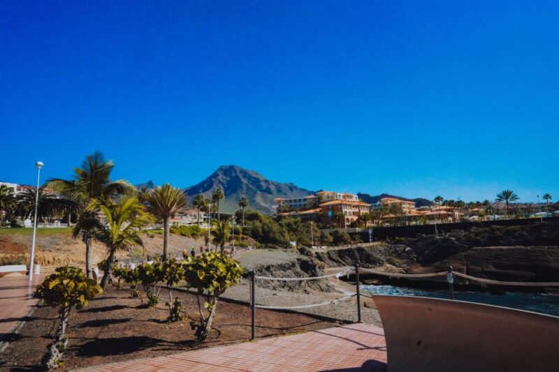 Costa Adeje: Tuk Tuk Tour - Visiting Oasis Del Duque with Guided Insights