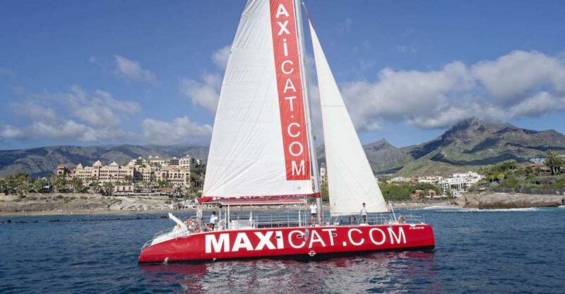 Costa Adeje: Whale and Dolphin Cruise with Food and Pickup - Key Points