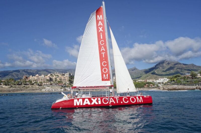 Costa Adeje: Whale and Dolphin Cruise with Food and Pickup - Set out on a Scenic Catamaran Along Costa Adeje