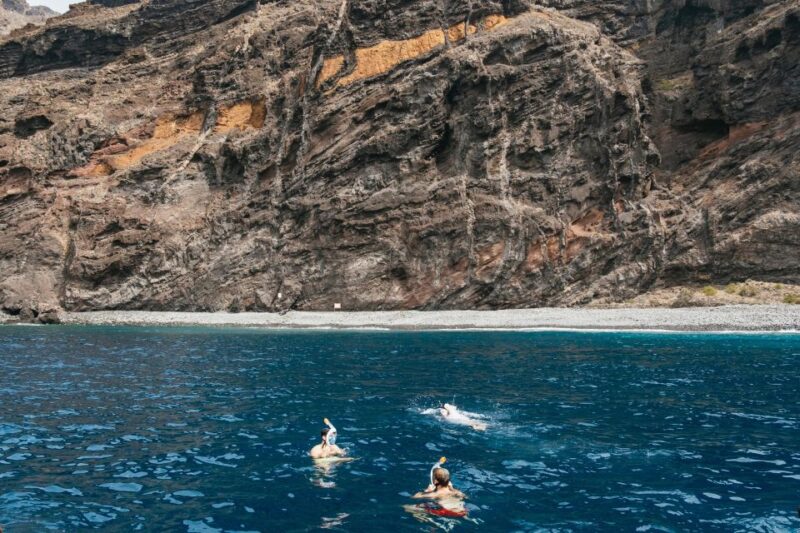 Costa Adeje: Whale & Dolphin Eco-Cruise with Snacks & Drinks - Wildlife Spotting in the Teno-Rasca Whale Sanctuary