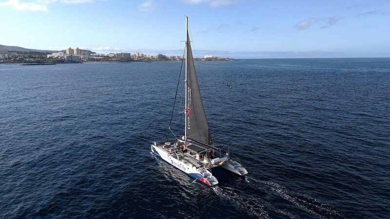 Costa Adeje: Whale & Dolphin Eco-Cruise with Snacks & Drinks - Exploring the Coast: Los Gigantes Cliffs and Masca Beach