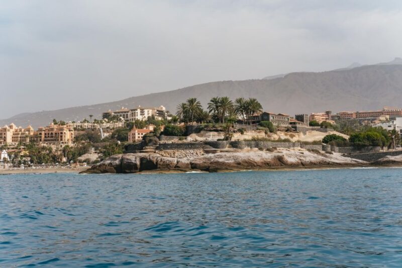 Costa Adeje: Whale & Dolphin Eco-Cruise with Snacks & Drinks - Eco-Friendly Design and Sustainable Practices